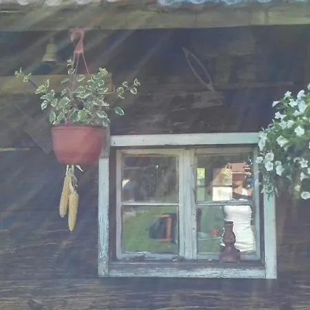 Domacinstvo Filipovic