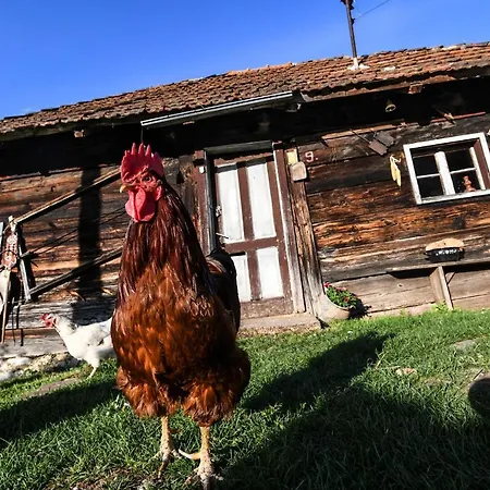 Domacinstvo Filipovic * Rakovica (Cajetina)