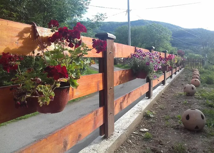 Domacinstvo Filipovic * Rakovica (Cajetina)